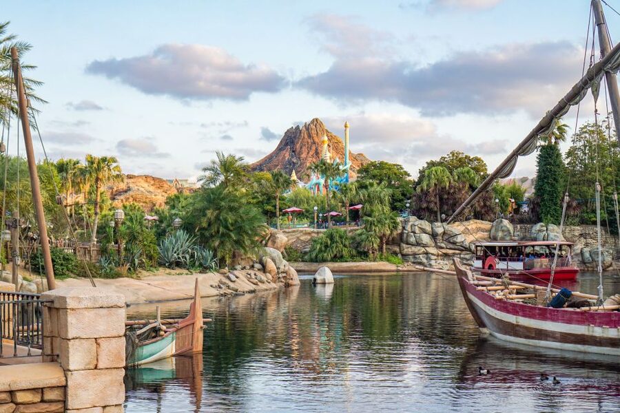 Tokyo Disneyland or DisneySea Ticket & Door to Door Transfer - Key points at a glance