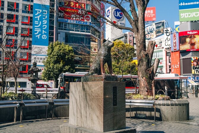 Tokyo Early Morning Tour Asakusa Meiji Shrine (Private Opt) - Meiji Jingu’s forested approach