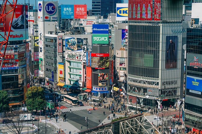 Tokyo Early Morning Tour Asakusa Meiji Shrine (Private Opt) - Is $59.46 a fair price?