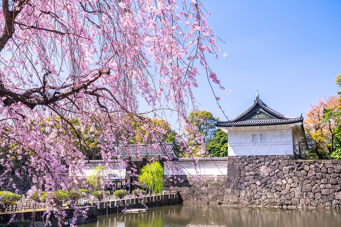 Tokyo: Edo Castle & East Garden of the Imperial Palace Tour - Key points to know before you book
