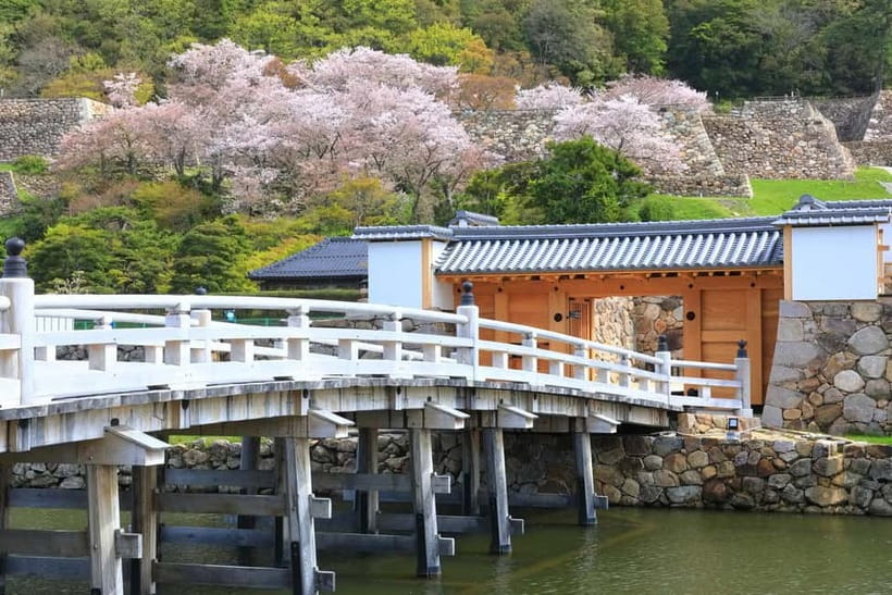 Tokyo: Edo Castle & East Garden of the Imperial Palace Tour - Booking tips for a smoother visit