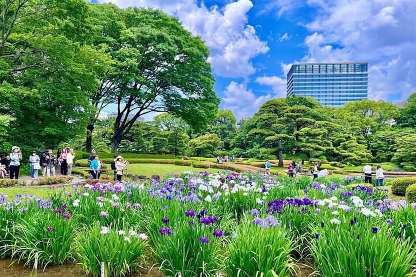 Tokyo: Edo Castle & East Garden of the Imperial Palace Tour - Who will get the most from this walk