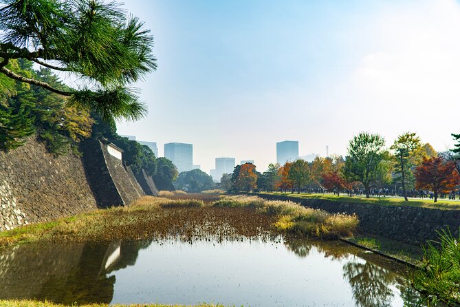 Tokyo: Edo Castle & East Garden of the Imperial Palace Tour