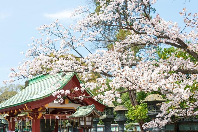 Tokyo: Food Tour in Ueno with 10+ Tastings of Japanese Classics - Ameyoko Market: A Fast Start Among Shops and Stalls