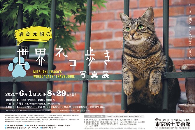 Tokyo Fuji Art Museum Admission Ticket + Special Exhibition (when being held) - Getting to Hachioji is the main practical question