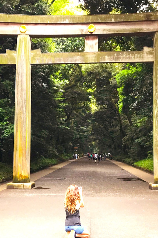 Tokyo: Full Course Tour: Explore 10 Must-Sees & Hidden Gems - Akihabara: Tokyo’s pop-culture district