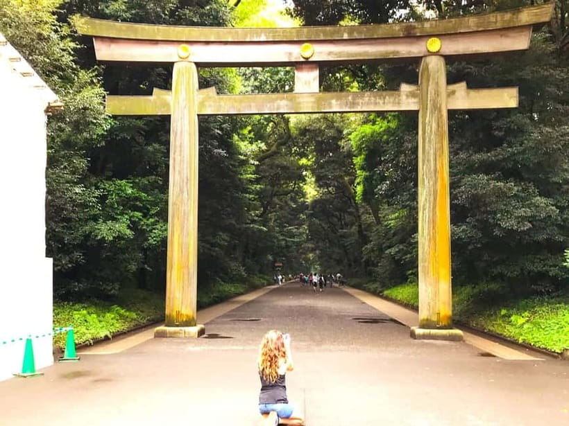 Tokyo: Full Course Tour: Explore 15 Must-Sees & Hidden Gems - Hachiko and Shibuya Crossing: Tokyo in ten minutes