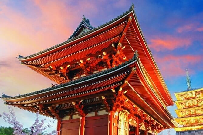 Tokyo Full Day Customize Private City Tour - Key points to know before booking