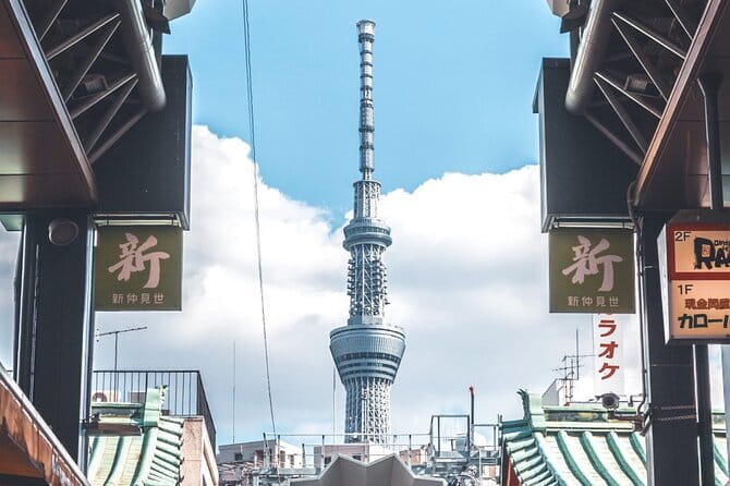 Tokyo Full Day Customize Private City Tour - Why a private car helps in sprawling Tokyo