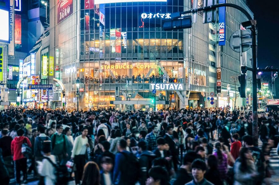 Tokyo: Full-day Immersive Private Tour by Premium Car - Is $475 good value for a day in Tokyo?