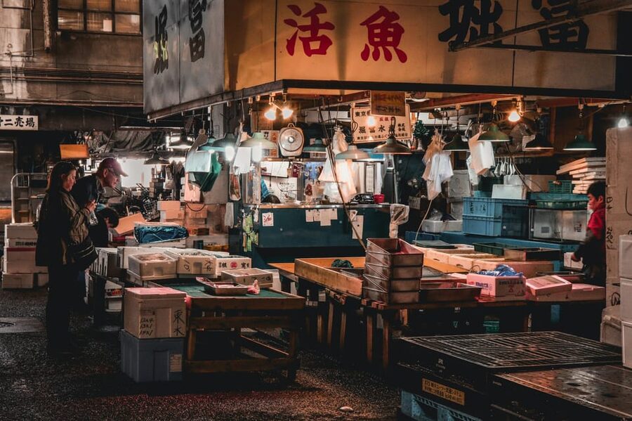 Tokyo: Full-day Immersive Private Tour by Premium Car - Starting at Senso-ji in Asakusa