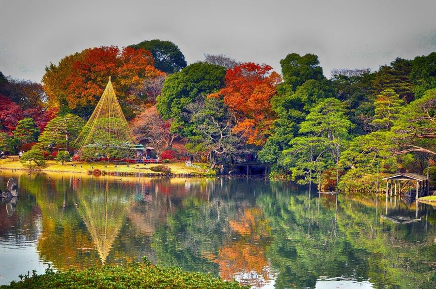 Tokyo: Full-Day Japanese Garden Private Guided Tour - Key points to know before booking