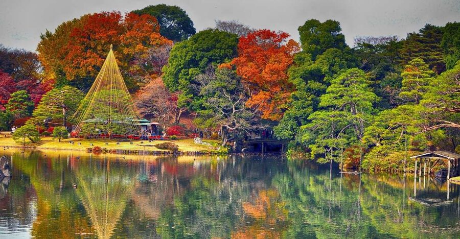 Tokyo: Full-Day Japanese Garden Private Guided Tour - Why a private garden tour works well in Tokyo