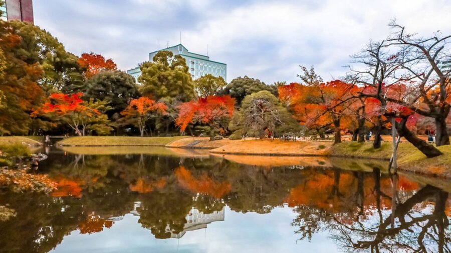 Tokyo: Full-Day Japanese Garden Private Guided Tour - Meiji Jingu Shrine adds a different kind of green space