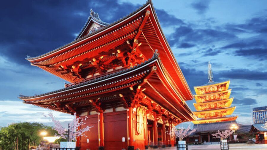 Tokyo Full day Private Customized Tour with English Driver - Key points at a glance