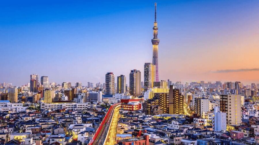 Tokyo Full day Private Customized Tour with English Driver - A sensible way to cover far-flung Tokyo