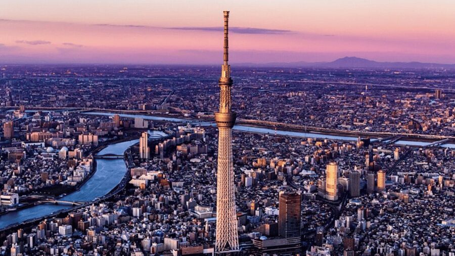 Tokyo Full day Private Customized Tour with English Driver