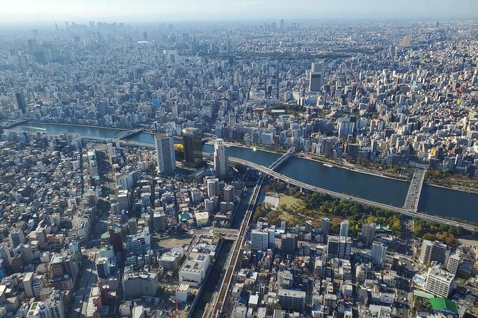 Tokyo Full-Day Private Tour (Customizable) - What the $354 group price really buys