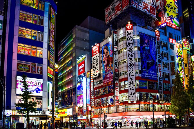 Tokyo Full-Day Private Tour (Customizable) - How to make the eight hours work