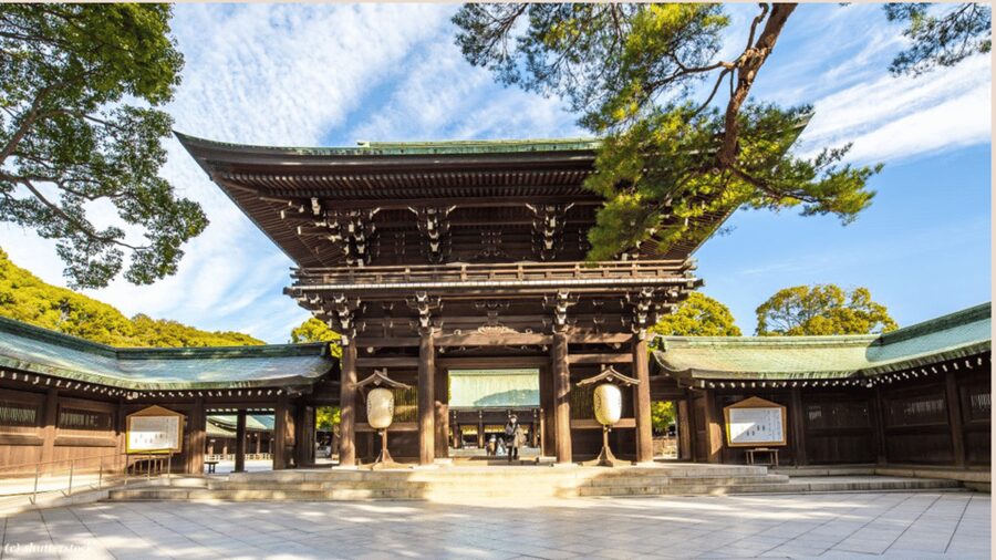 Tokyo full day private tour with Guide - Shibuya Crossing and Tokyo’s electric side
