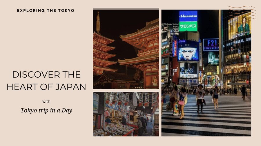 Tokyo full day private tour with Guide