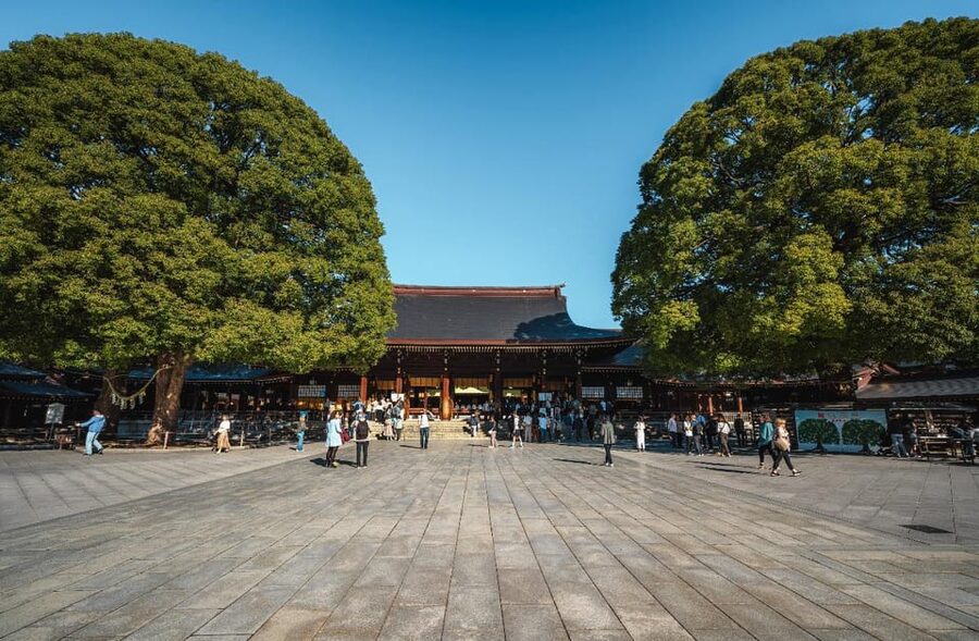 Tokyo full day Spanish speaking tour with hotel pick up and drop off. - How the trains shape the day