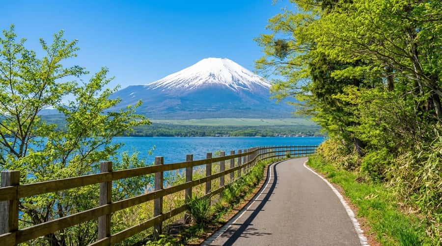 Tokyo: Full-Day Tour of the Six Majestic Spots of Mt Fuji - Why this $45 day trip can be good value