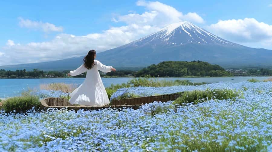 Tokyo: Full-Day Tour of the Six Majestic Spots of Mt Fuji - Arakurayama Sengen Park and the famous pagoda view