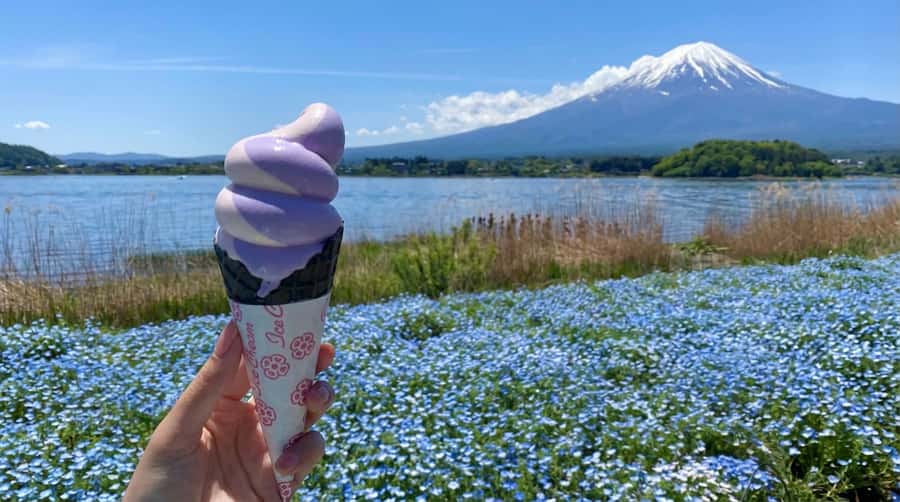 Tokyo: Full-Day Tour of the Six Majestic Spots of Mt Fuji - Oshino Hakkai, clear water and a traditional village