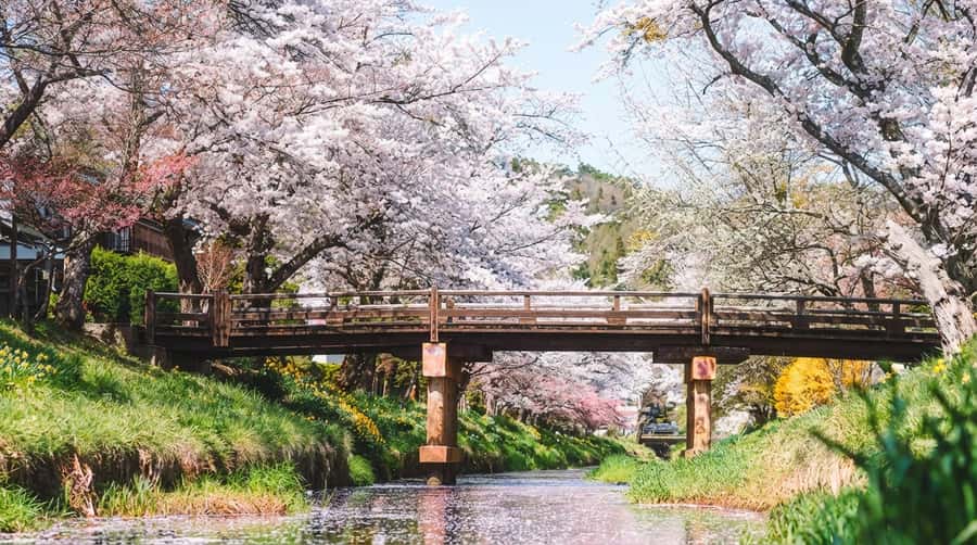 Tokyo: Full-Day Tour of the Six Majestic Spots of Mt Fuji - Guides, languages, and the pace of the day
