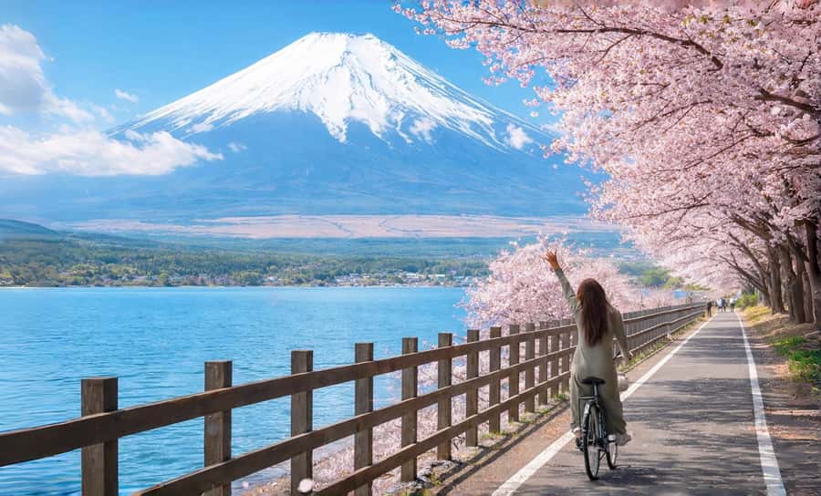 Tokyo: Full-Day Tour of the Six Majestic Spots of Mt Fuji