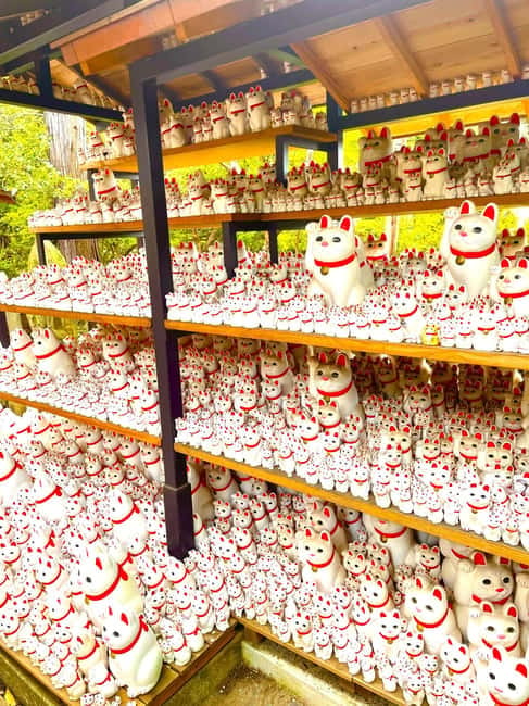 Tokyo: Gotokuji Cat Temple, Shinjuku Cat Cafe & 3D Cat Tour - The giant 3D cat in Shinjuku