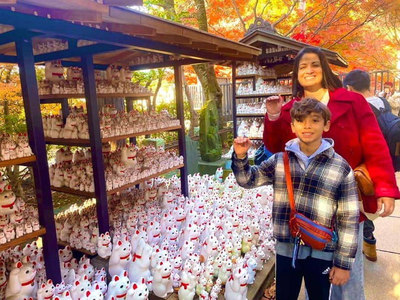 Tokyo: Gotokuji Cat Temple, Shinjuku Cat Cafe & 3D Cat Tour - The train ride to Gotokuji