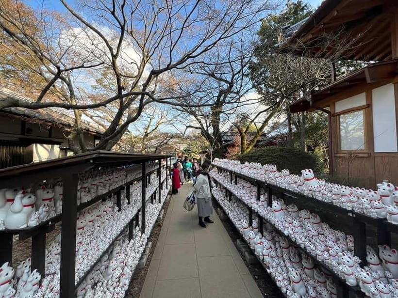 Tokyo: Gotokuji Culture Walk & Lucky Cat Temple Experience - The first 15 minutes: getting your cat photographs