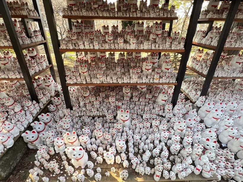 Tokyo: Gotokuji Culture Walk & Lucky Cat Temple Experience - Fifty minutes to look around Gotokuji