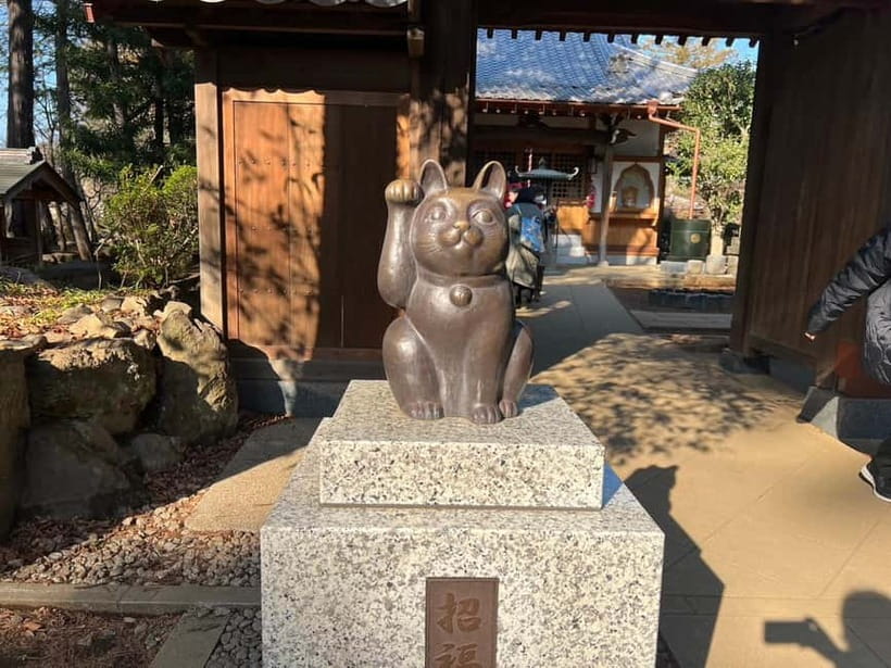Tokyo: Gotokuji Culture Walk & Lucky Cat Temple Experience - Is $47 a fair price?