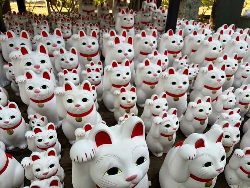Tokyo: Gotokuji Culture Walk & Lucky Cat Temple Experience - Starting at Gotokuji Station
