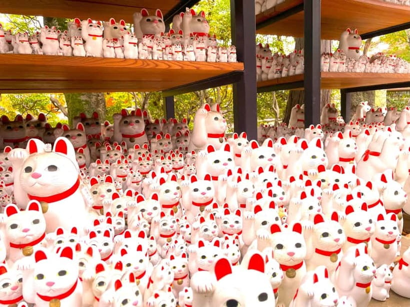 Tokyo: Gotokuji Lucky Cat Temple & Harajuku Cat Cafe Tour - Entering Gotokuji, Tokyo’s lucky cat temple