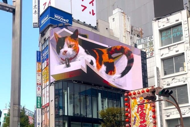 Tokyo: Gotokuji Lucky Cat Temple, Shinjuku Cat Cafe, 3D Giant Cat - Riding from Shinjuku to the quieter Gotokuji district