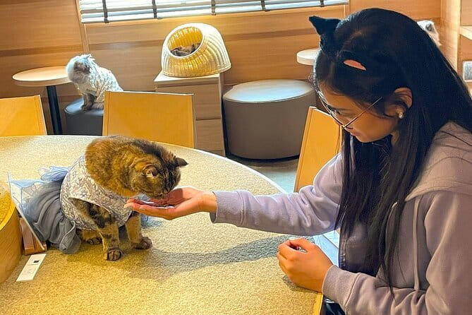Tokyo: Gotokuji Lucky Cat Temple, Shinjuku Cat Cafe, 3D Giant Cat