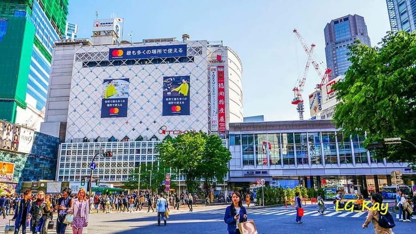 Tokyo: Guided Exploration with a Private Driver - A useful first look at Tokyo from a private car