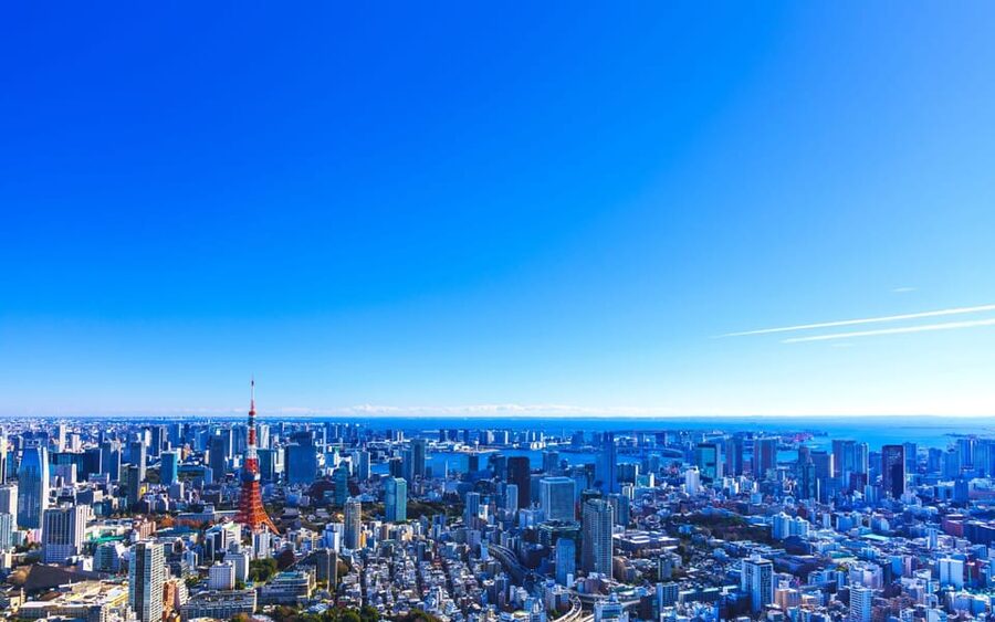 Tokyo: Guided Helicopter Ride - The 30-minute flight adds Shinjuku