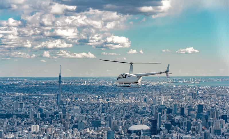 Tokyo: Guided Helicopter Ride - What the private format changes