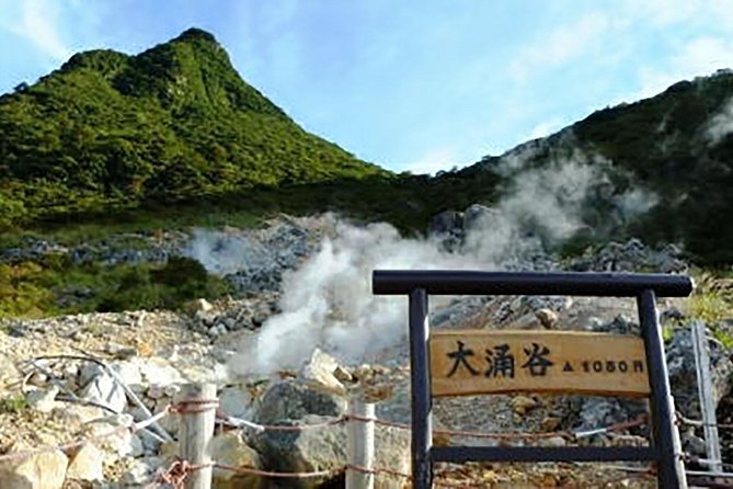 Tokyo: Hakone Fuji Day Tour w/ Cruise, Cable Car, Volcano - Your afternoon choice: onsen or Gotemba outlets