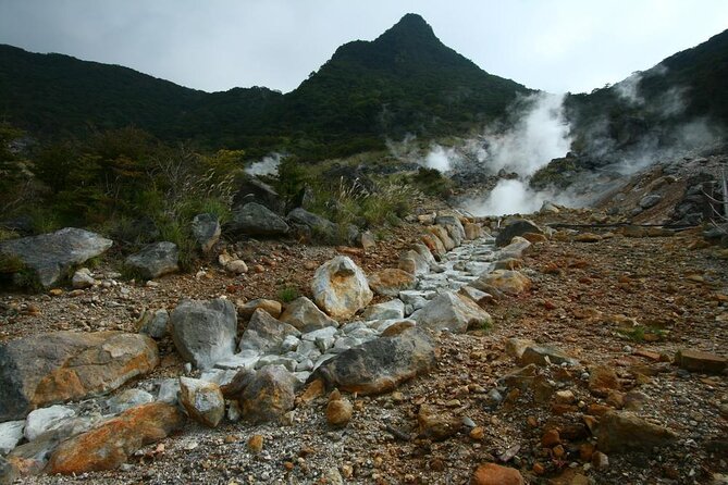 Tokyo Hakone : Mt.Fuji, Owakudani, Open Air Museum, Hakone Shrine - Key points to know before booking