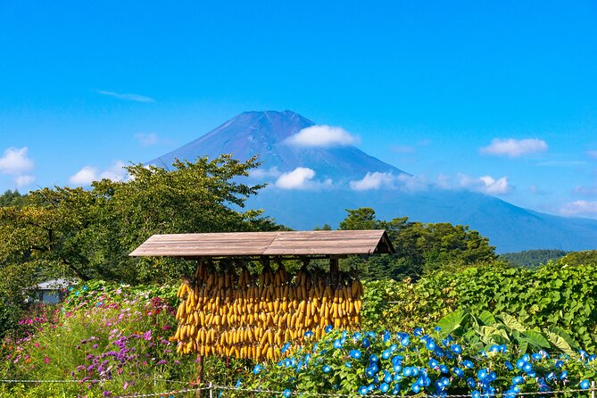 Tokyo Hakone : Mt.Fuji, Owakudani, Open Air Museum, Hakone Shrine - Guides, timing, and practical choices
