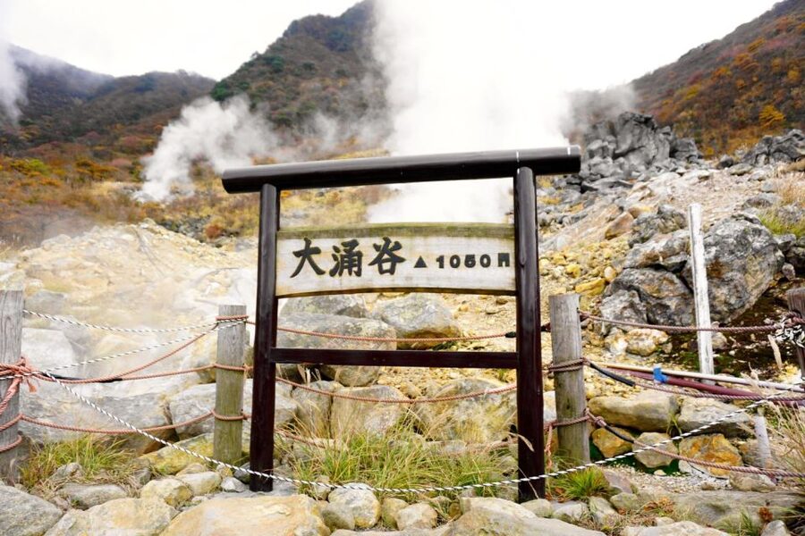 tokyo:Hakone Owakudani & Gotemba Premium Outlet 1d Tour - The bus ride through Fuji country
