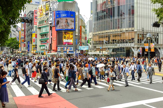 Tokyo Half-day Customized Private Tour - Price and the real cost of the morning