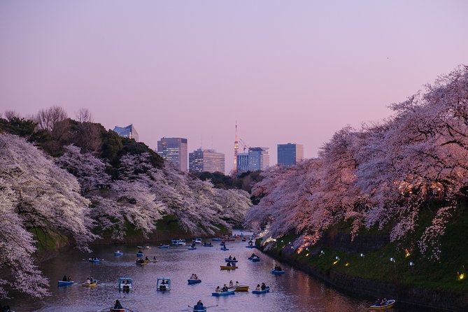 Tokyo Half-day Customized Private Tour - Who will get the most from this tour