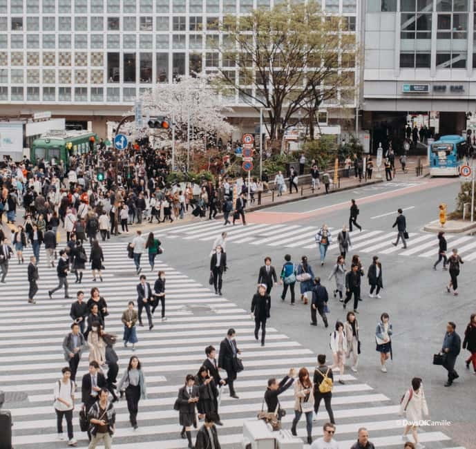 Tokyo, half day : private tour with an expert ! - Key points to know before booking